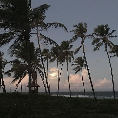 Vilage Em Praia Do Forte Exteriér fotografie