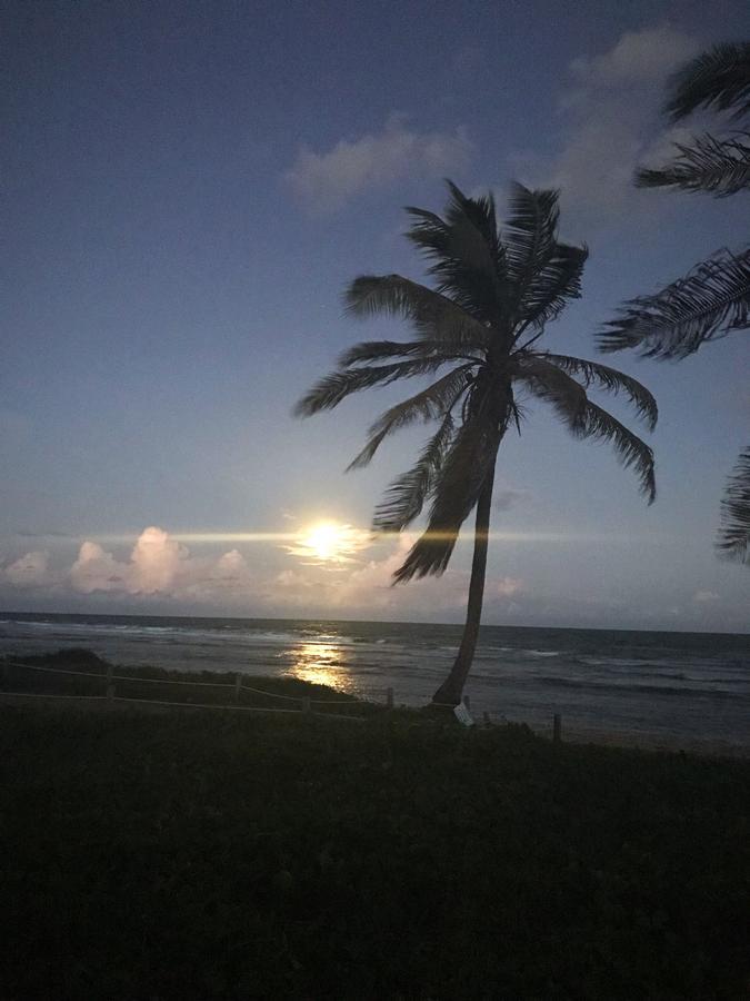 Vilage Em Praia Do Forte Exteriér fotografie
